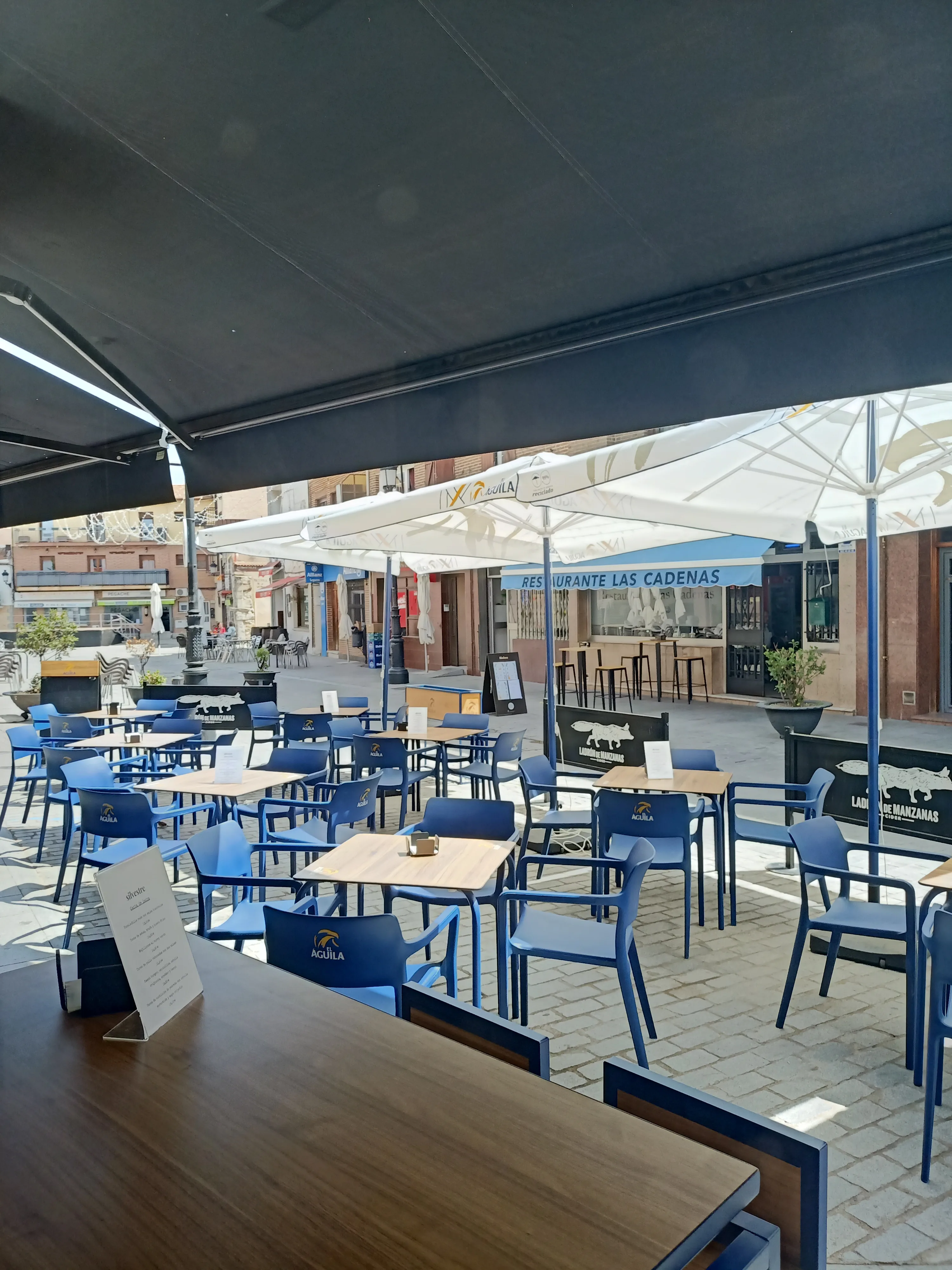Terraza de Silvestre Becerril rodeada de árboles.